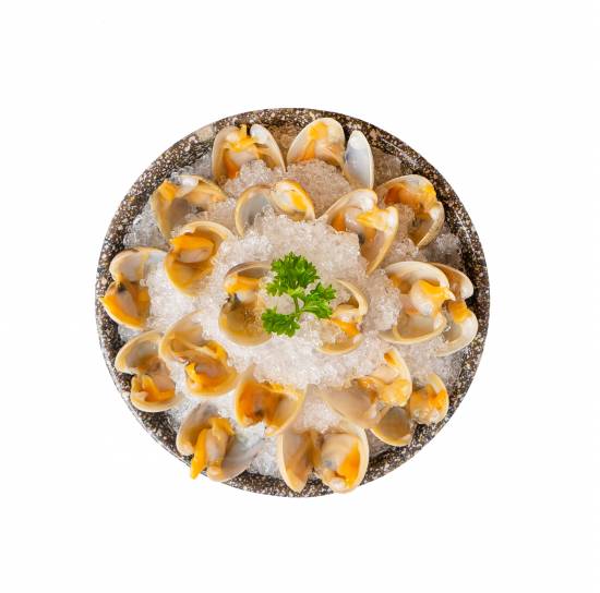 Clam