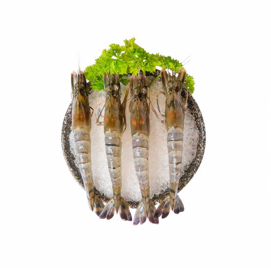 Prawn