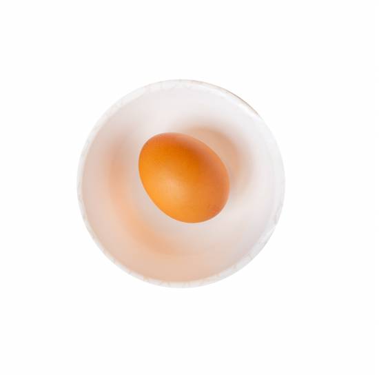 Egg